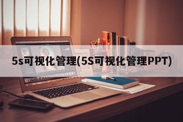 5s可视化管理(5S可视化管理PPT)